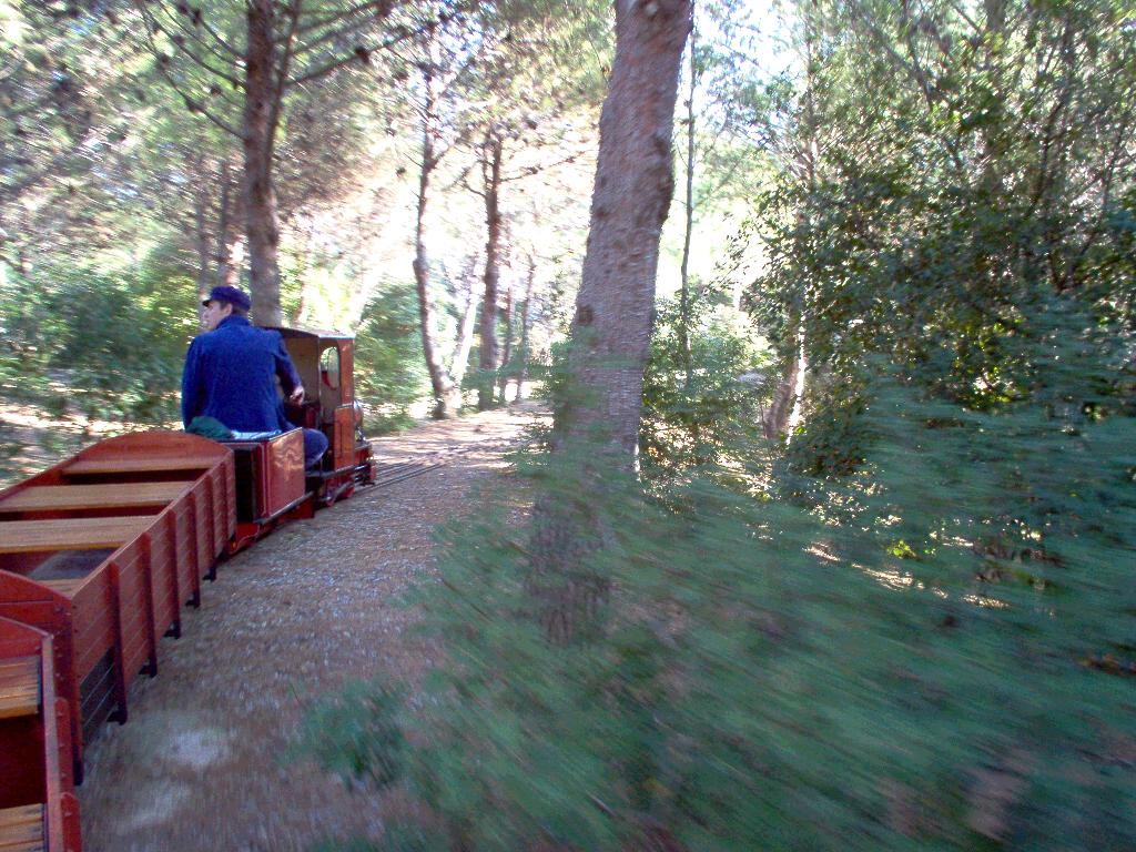 oreneta 09-01-05 05.jpg