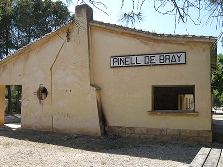 Pinellbrai5.jpg